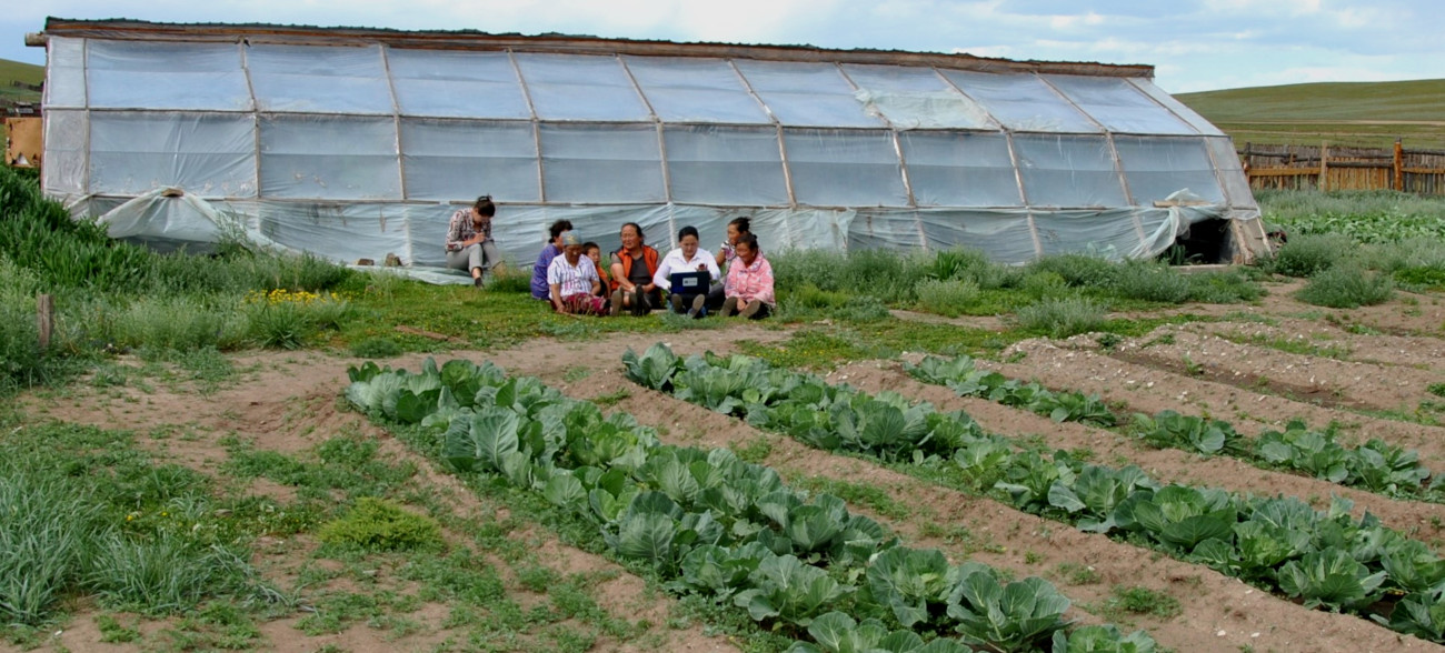 Autosuffisance agricole et alimentation équilibrée pour les populations rurales de l&rsquo;Arkhangaï