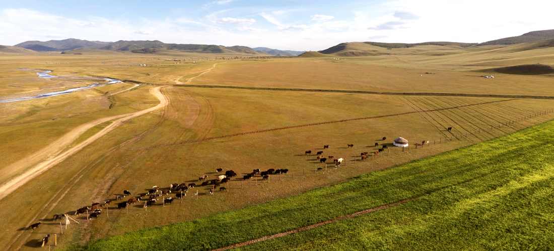 L&rsquo;Arkhangai, une province pilote face aux défis climatiques et énergétiques