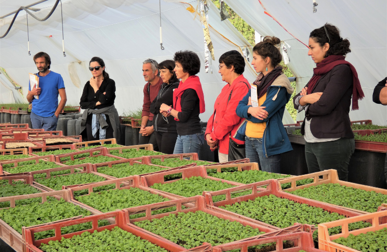 Agricuteurs et serres bioclimatiques région paca sud