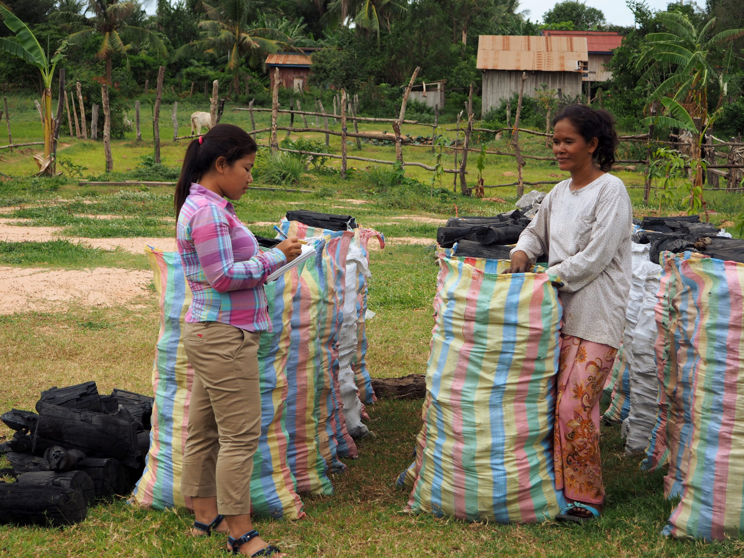 Femmes engagées cambodge charbon de bois durable cambodge Femmes engagées cambodge charbon de bois durable cambodge