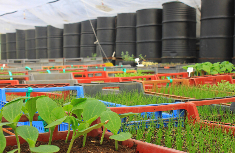 Serre bioclimatique Aubagne