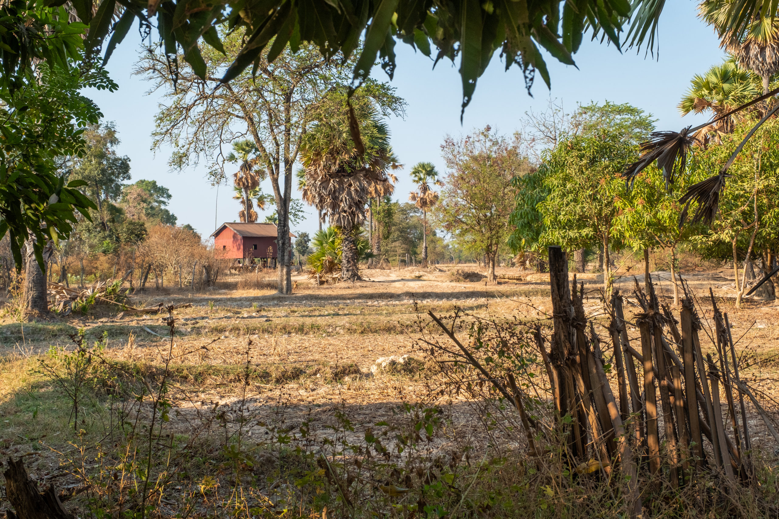 Villages cambodge ressource forestière Villages cambodge ressource forestière