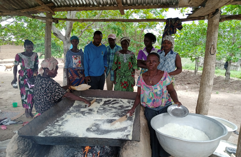 Femmes transformatrices de produits agroalimentaires territoire des collines bénin Femmes transformatrices de produits agroalimentaires territoire des collines bénin
