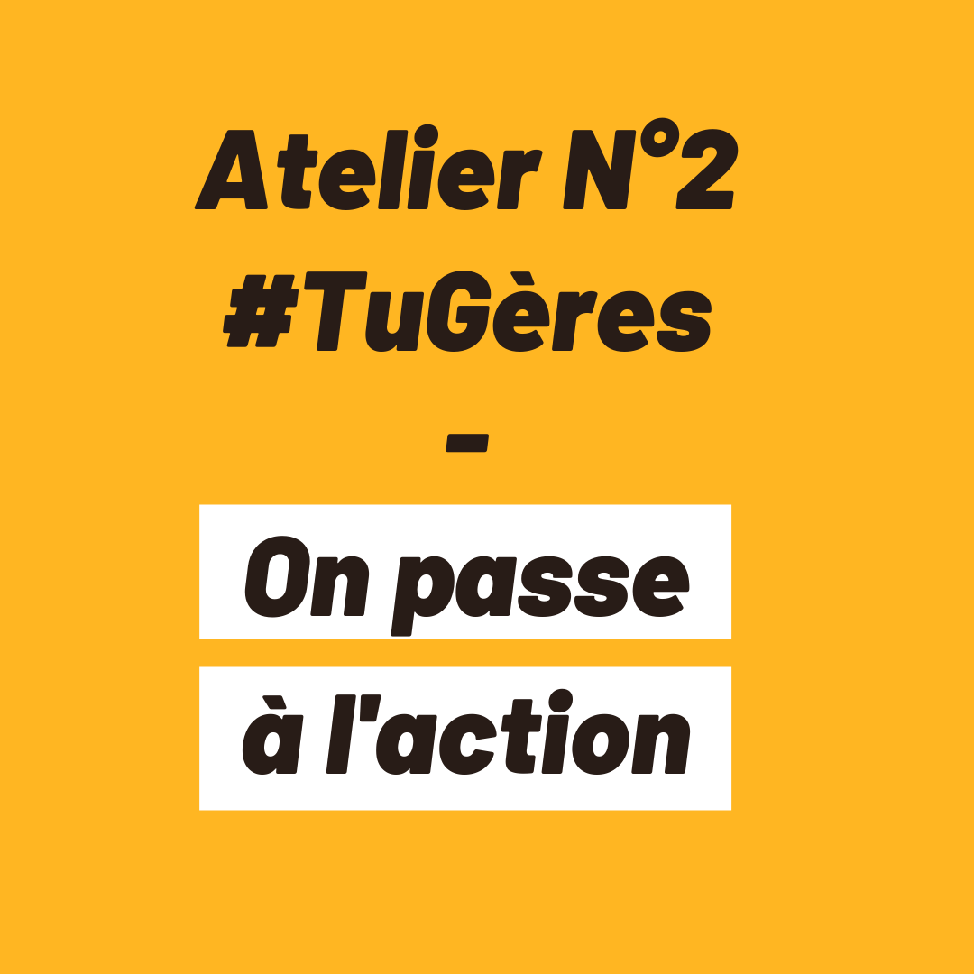 Atelier N°2 - passage à l'action Atelier N°2 Tu Gères- passage à l'action