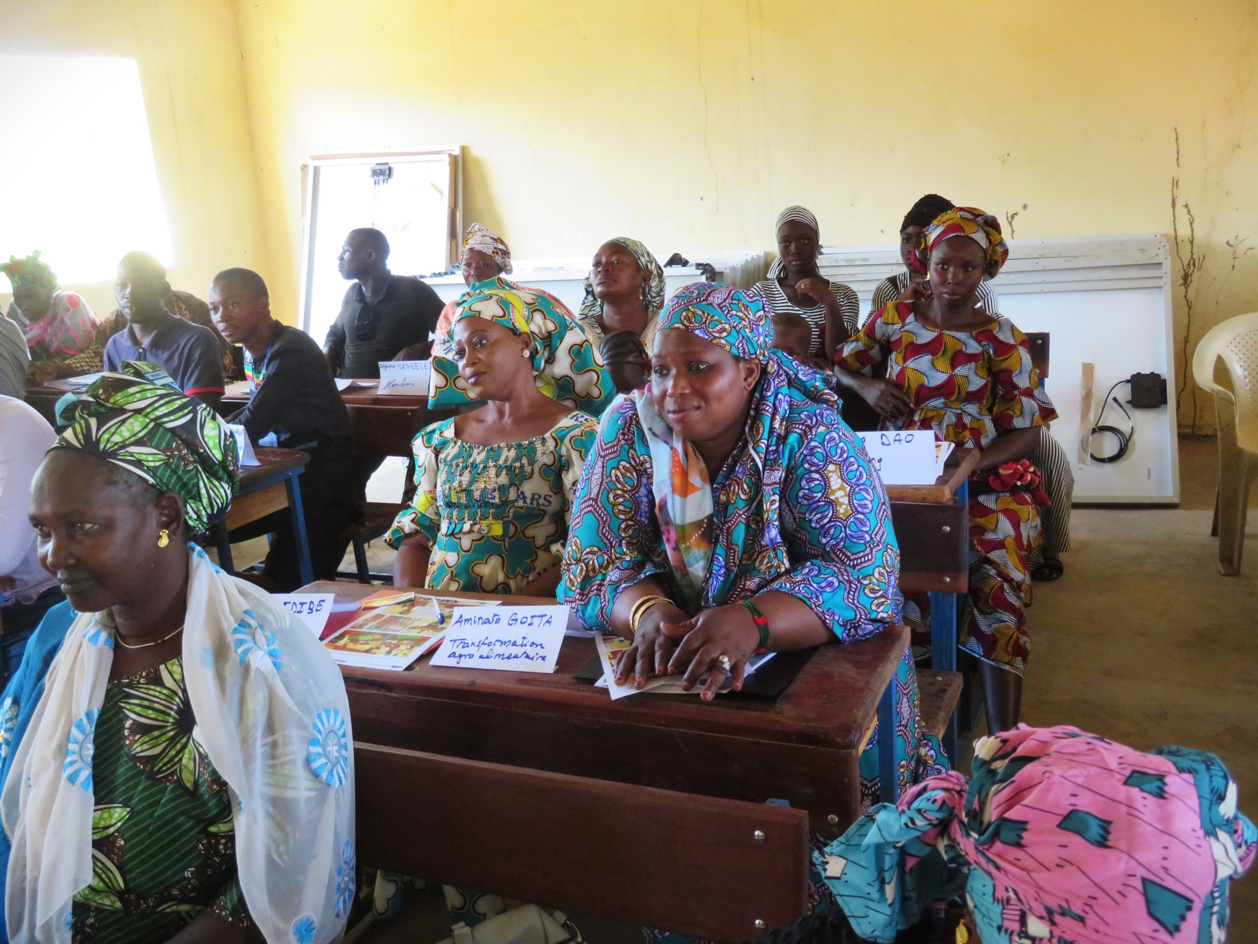Formation entreprenariat durable femmes mali Formation entreprenariat durable femmes mali