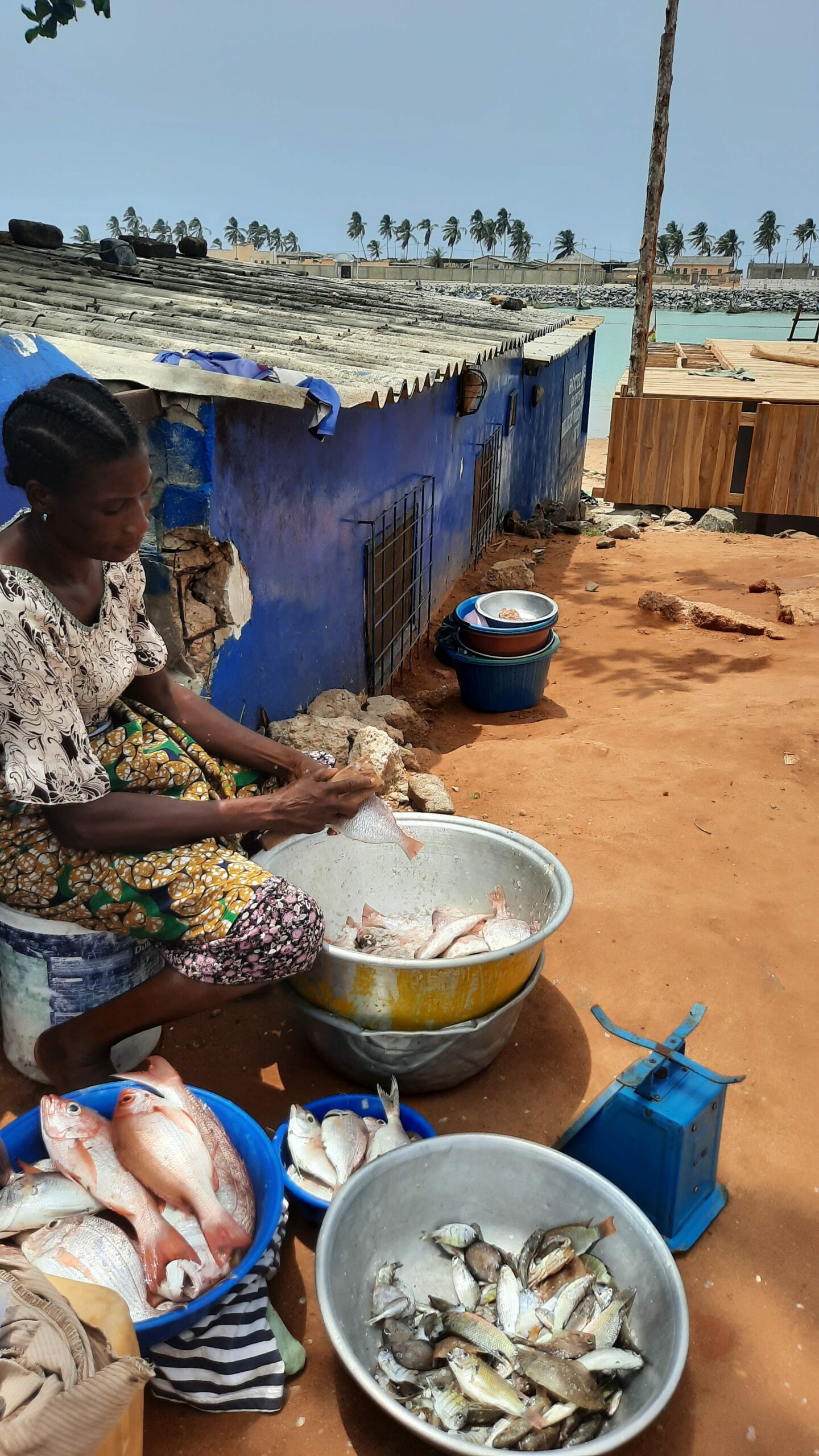 actions bénin 2021 climat deforestation geres